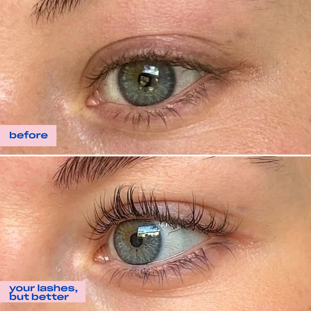 grwm lash + brow essentials