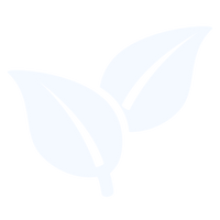 vegan